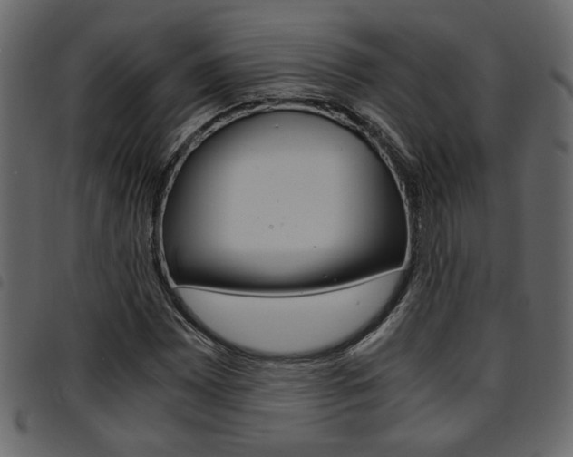 X0000094911065200711290955
