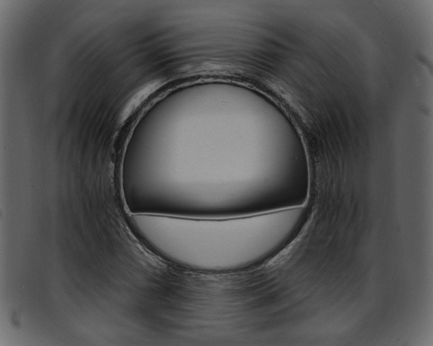 X0000094911066200711290955