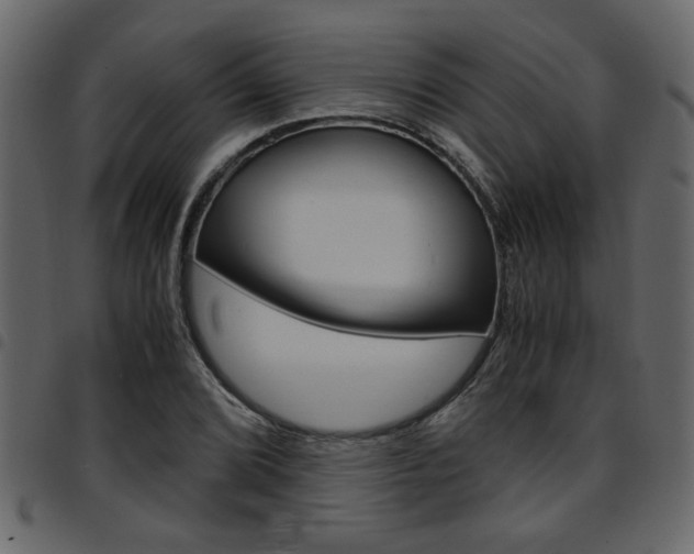 X0000094911072200711290954
