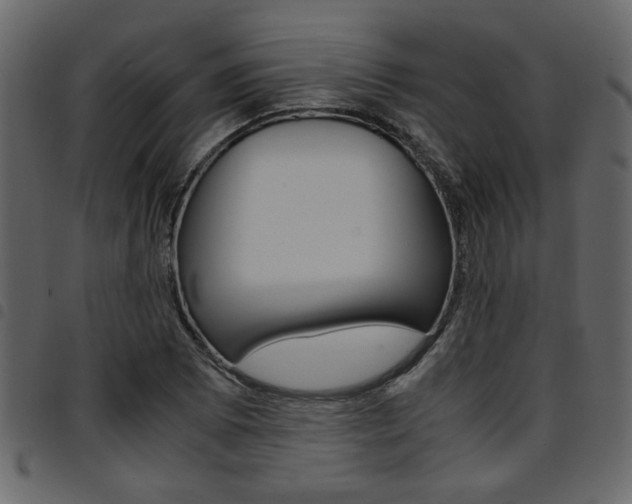 X0000094911073200711290954
