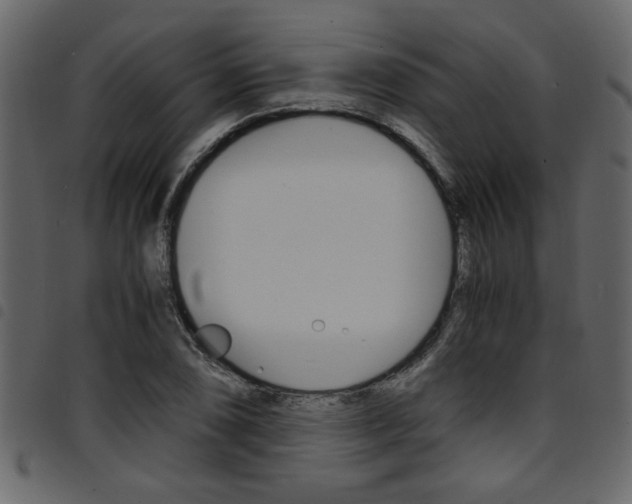 X0000094911074200711290954