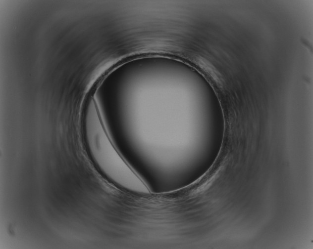 X0000094911077200711290954