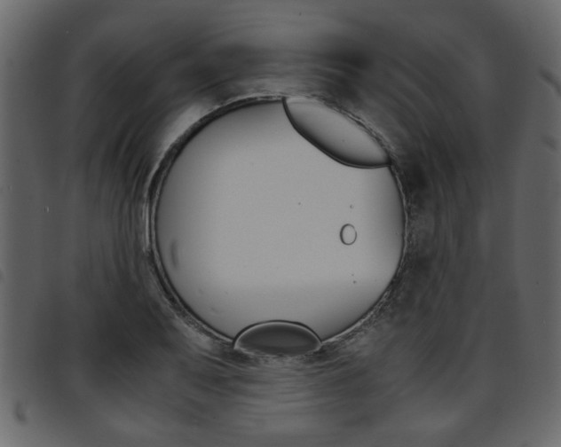 X0000094911079200711290954