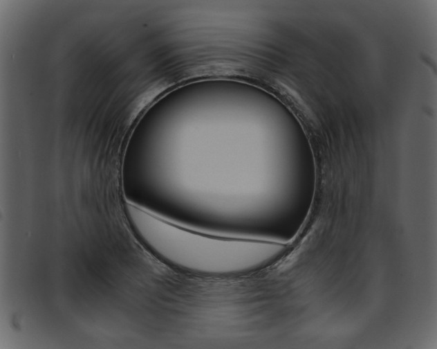 X0000094911081200711290954