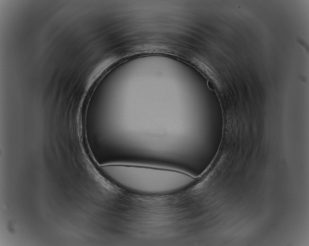 X0000094911082200711290954