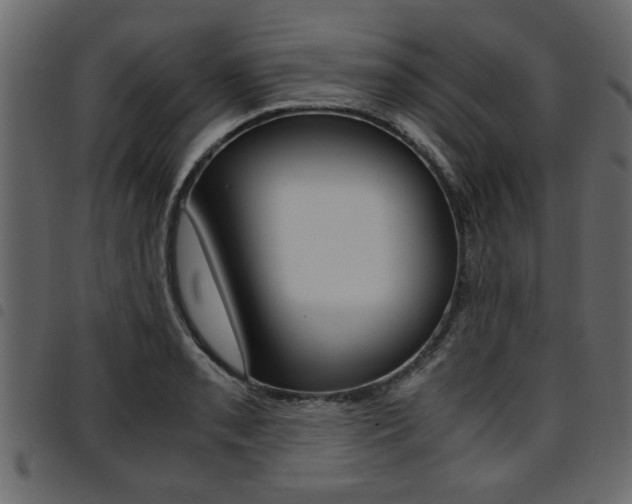 X0000094911085200711290954