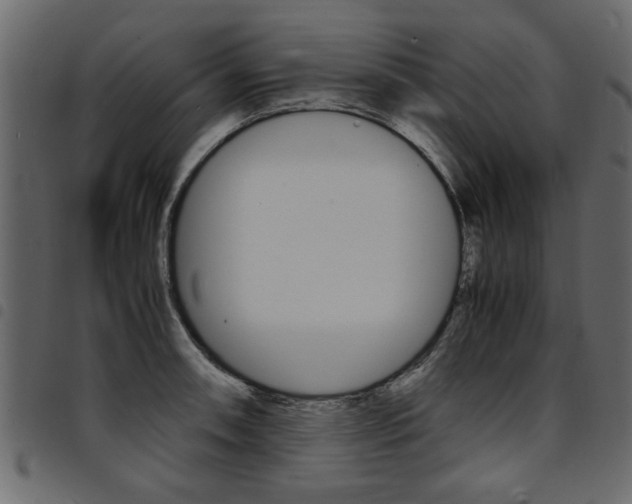 X0000094911090200711290954