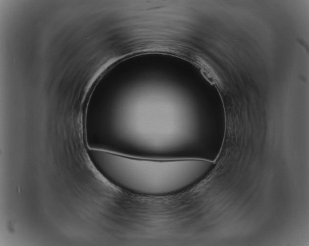 X0000094911092200711290954