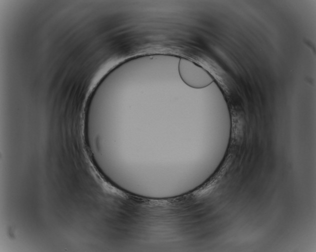 X0000094911094200711290954