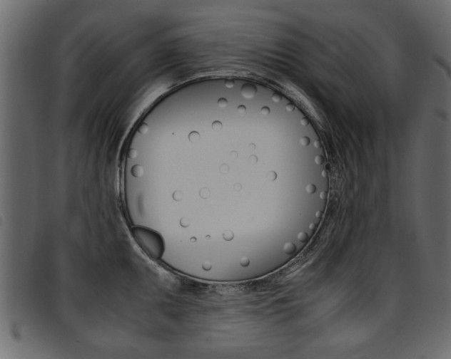 X0000094911095200711290954
