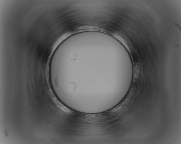 X0000094911098200711290954