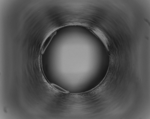 X0000094911100200711290954