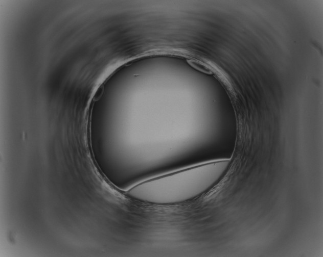 X0000094911102200711290954