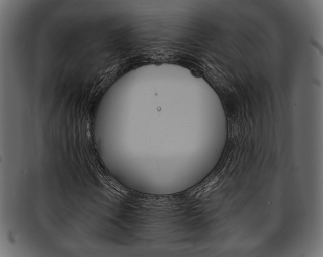 X0000094911106200711290953