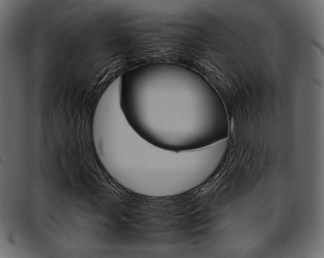 X0000094911107200711290953