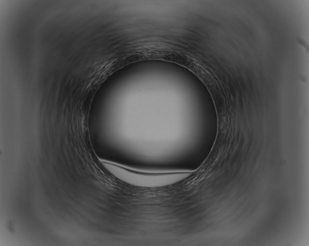 X0000094911108200711290953