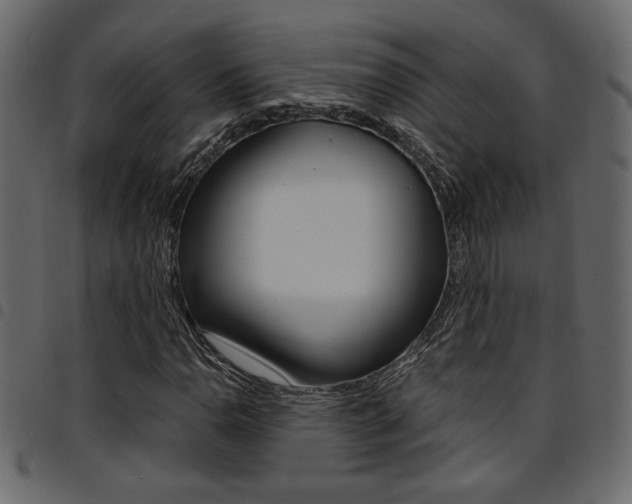 X0000094911110200711290953