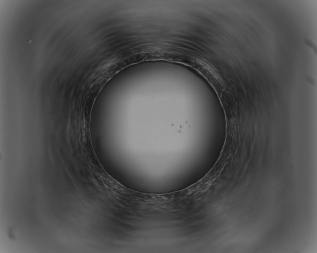 X0000094911111200711290953