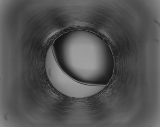 X0000094911112200711290953