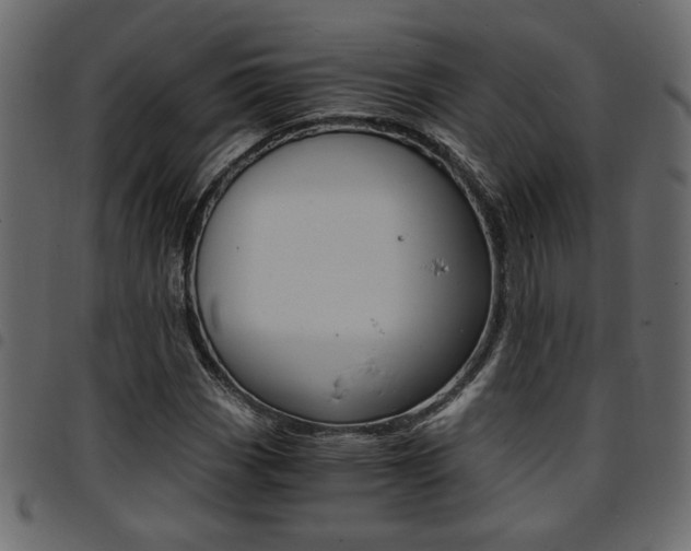 X0000094911113200711290953