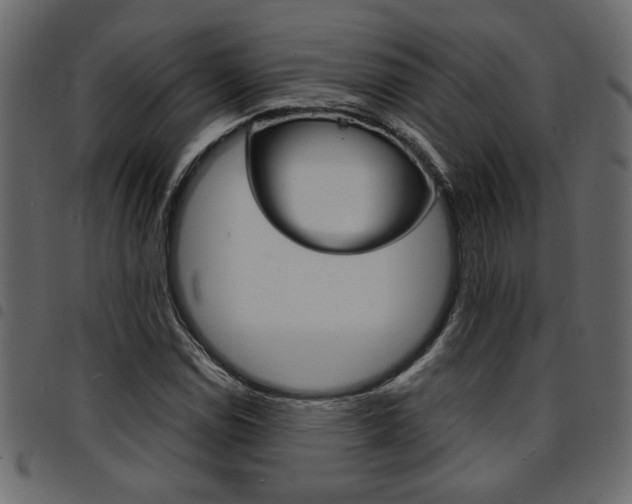 X0000094911114200711290953
