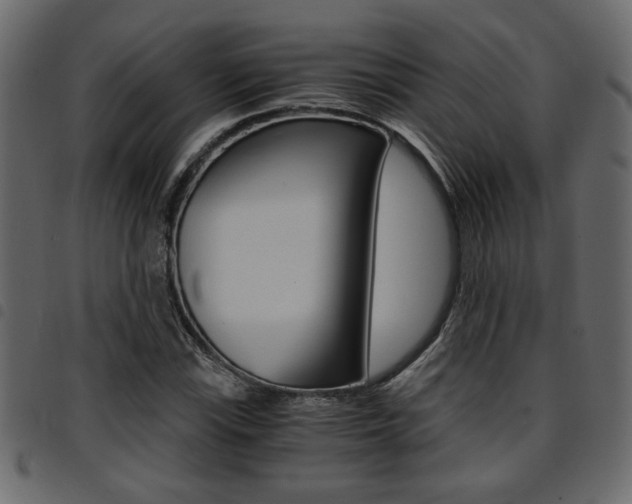 X0000094911115200711290953
