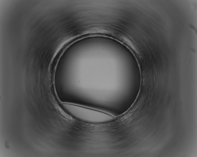 X0000094911116200711290953