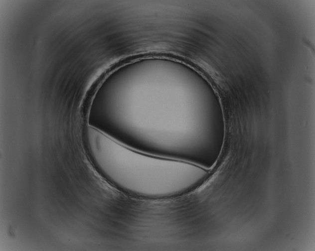 X0000094911118200711290954
