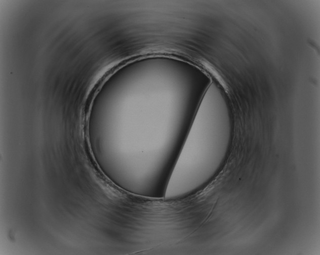 X0000094911124200711290954