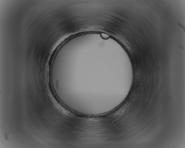 X0000094911126200711290954