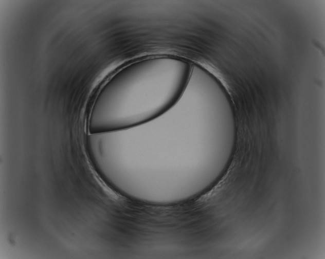 X0000094911127200711290954
