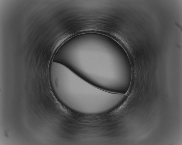 X0000094911129200711290954