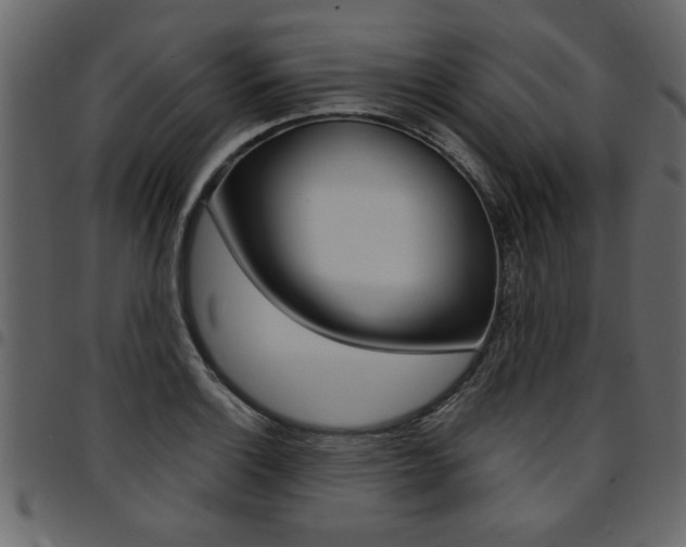 X0000094911132200711290954