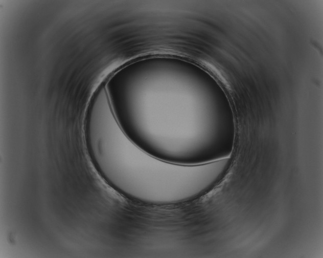 X0000094911133200711290954