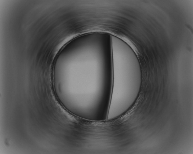 X0000094911142200711290954