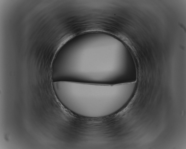 X0000094911145200711290954