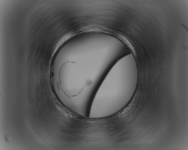 X0000094911146200711290954