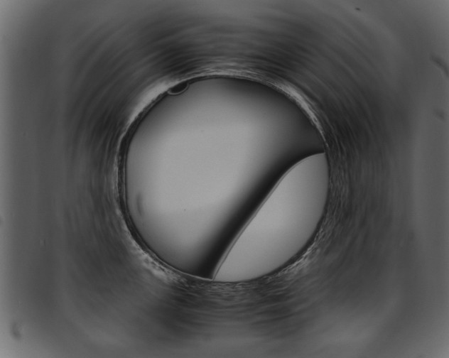 X0000094911147200711290954