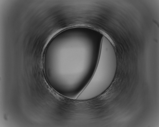 X0000094911148200711290954