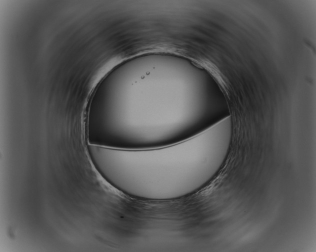 X0000094911151200711290954