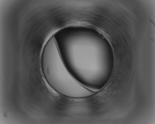 X0000094911152200711290954