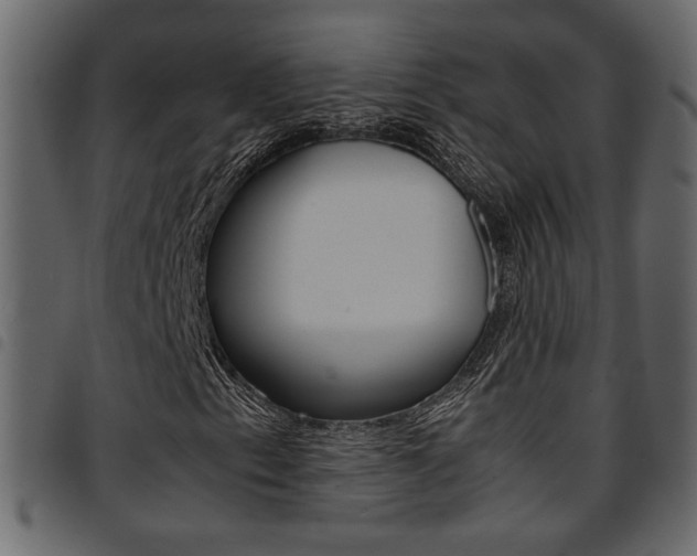 X0000094911153200711290953
