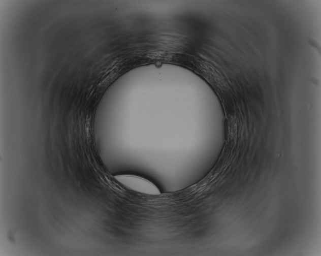 X0000094911154200711290953