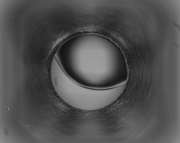 X0000094911160200711290953