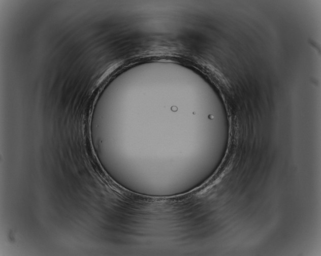 X0000094911162200711290953