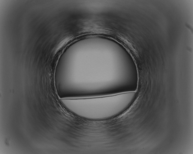 X0000094911163200711290953