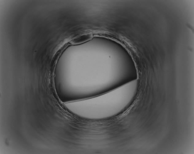 X0000094911165200711290953