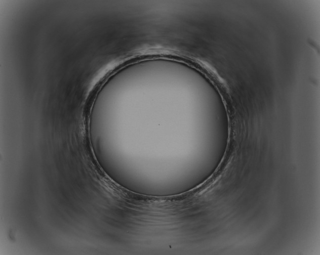 X0000094911167200711290953