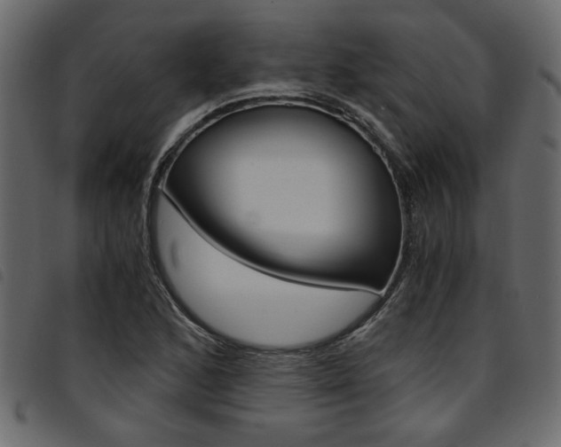 X0000094911168200711290953