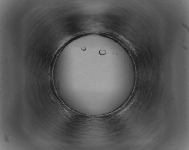 X0000094911170200711290953